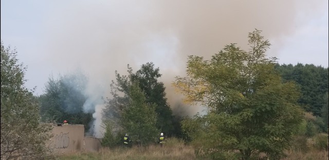 Po godz. 17 zapaliły się budynki gospodarcze przy ul. Niedzielnej w Białych Błotach.