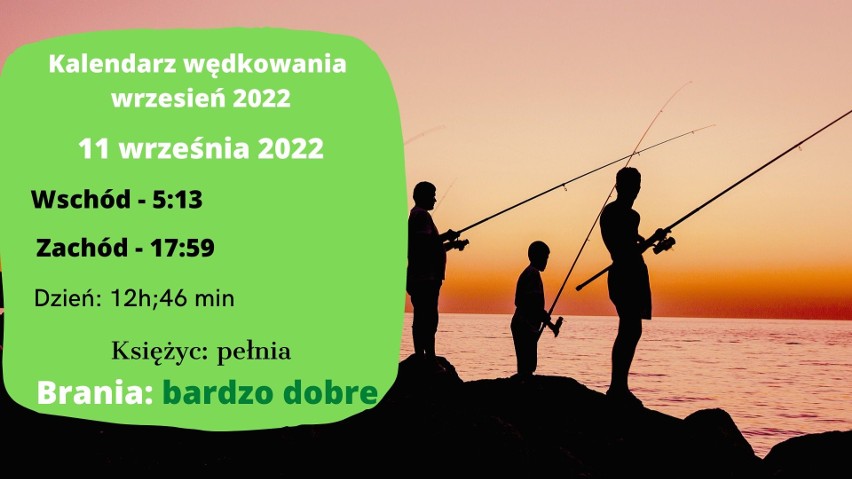 Oto kalendarz brań dla wędkarzy na drugą połowę września 2022. Zobacz, kiedy najlepiej wybrać się na ryby