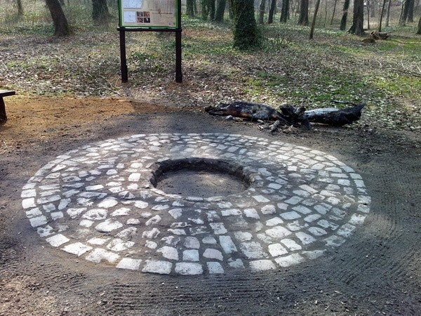 Polana w Parku Leśnym Klęskowo została zagospodarowana.