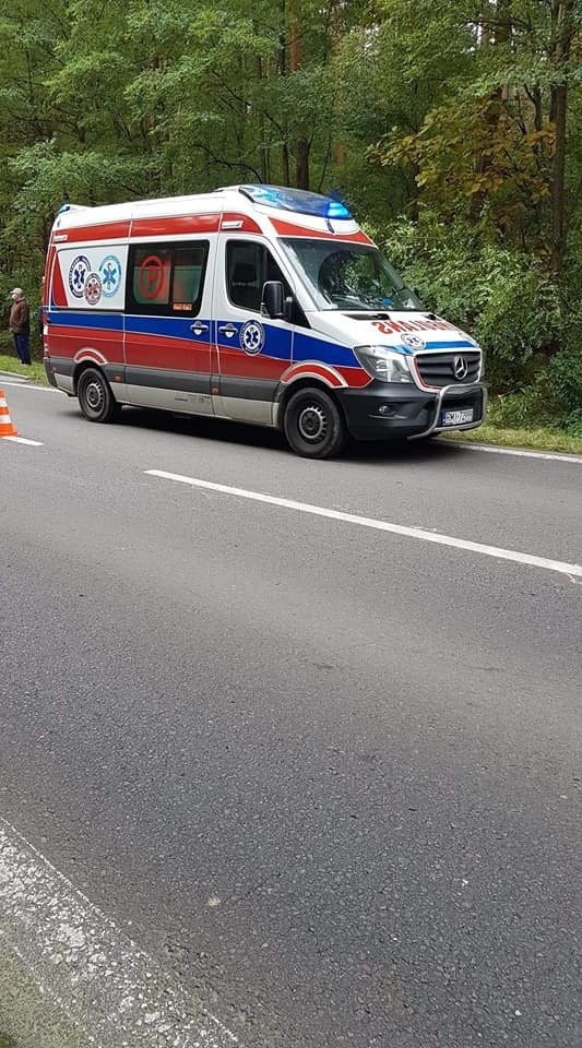 Wypadek w Dymitrowie Dużym. Bus zderzył się z renault, ranny został mężczyzna (ZDJĘCIA)