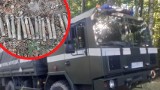 Bomby na terenie Puszczy Zielonki! Na miejsce wezwano patrol saperów [ZDJĘCIA]