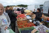 Wybór roślin i owoców na giełdzie w Miedzianej Górze w niedzielę, 22 maja. Bardzo drogie truskawki  