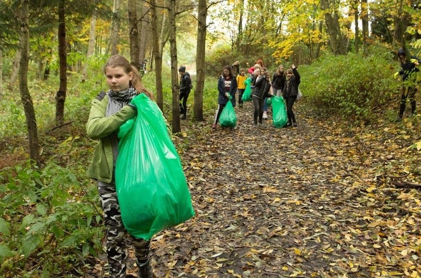 Sprzątanie lasu w ramach Międzynarodowego Dnia Krajobrazu