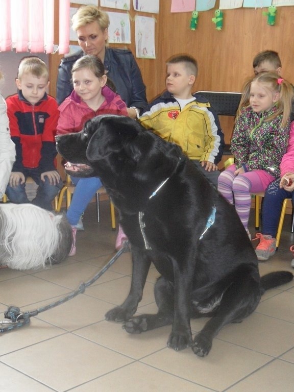 W MDK trwają zajęcia z dziećmi w ramach akcji "My nie...