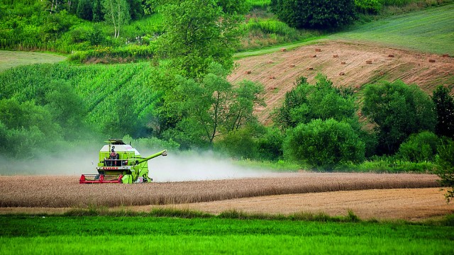 Budowa KGS daje silne podstawy do stworzenia bardziej efektywnego przetwórstwa rolno-spożywczego, wspierającego sprzedaż rodzimych towarów