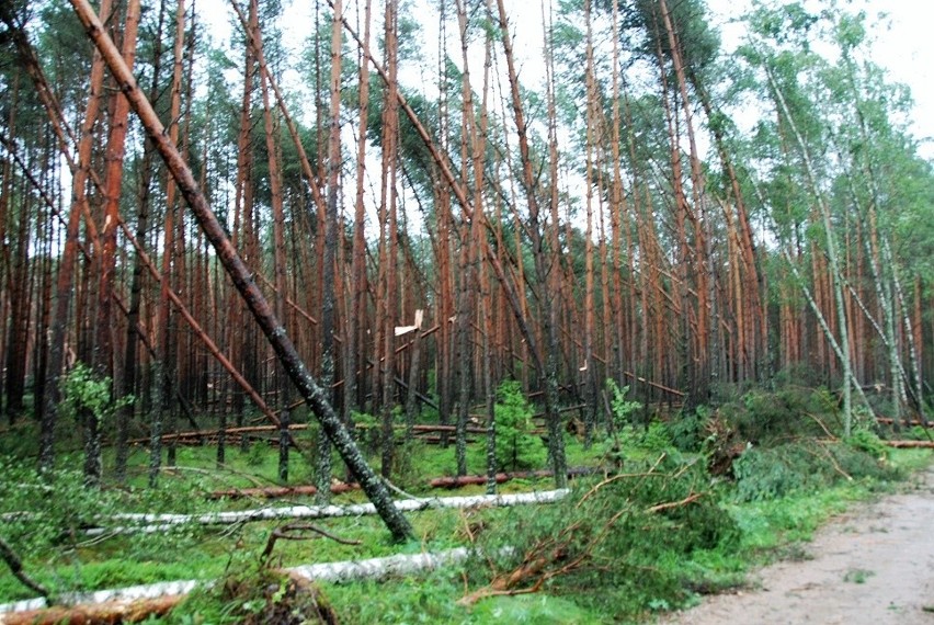 W czwartek 29.06.2017 r. przez woj. podlaskie przeszła...