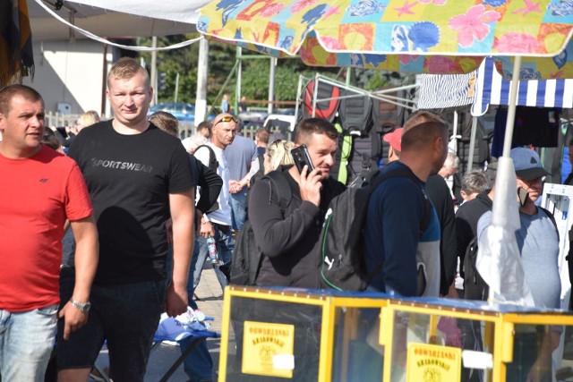 Zobacz kupujących, którzy przybyli na giełdę w Sandomierzu w sobotę, 3 września!>>>