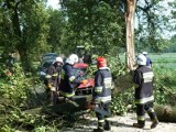 Nawałnica w Chełmnie. Drzewo przygniotło samochód. Jedna osoba ciężko ranna! 