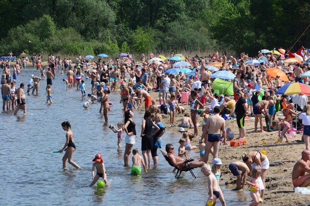 Dąbrowa Górnicza: Dębowy Maj Festiwal 3 maja