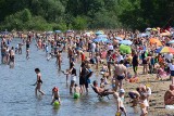 Dąbrowa Górnicza: Dębowy Maj Festiwal z atrakcjami, tłumy nad Pogorią i na Zielonej ZDJĘCIA 