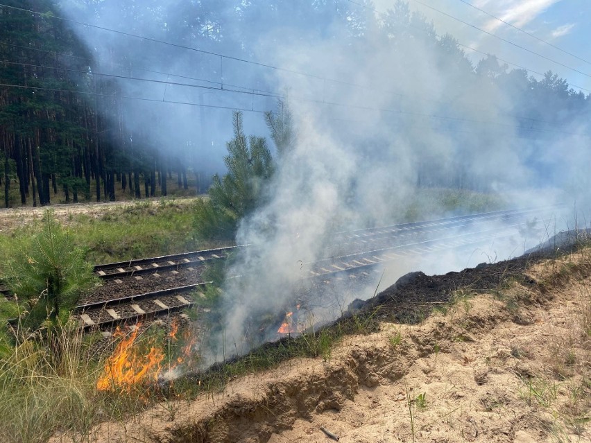 Pożar traw w Nieszawce zauważono w niedzielne przedpołudnie,...