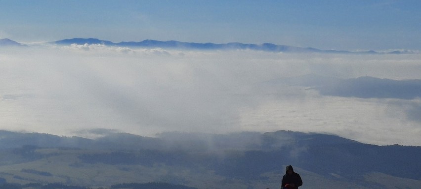 Beskidy. Diablak w jesiennej odsłonie - morze chmur i widok na Tatry [ZDJĘCIA]