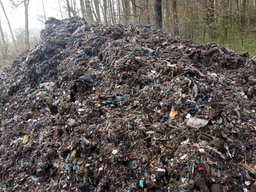 Porzucone odpady w lesie na terenie gminy Koneck. Sprawca wciąż poszukiwany
