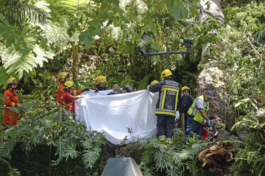 Portugalia, Madera: Tragedia w Funchal. Drzewo przygniotło ludzi, zginęło 12 osób [ZDJĘCIA] [WIDEO]