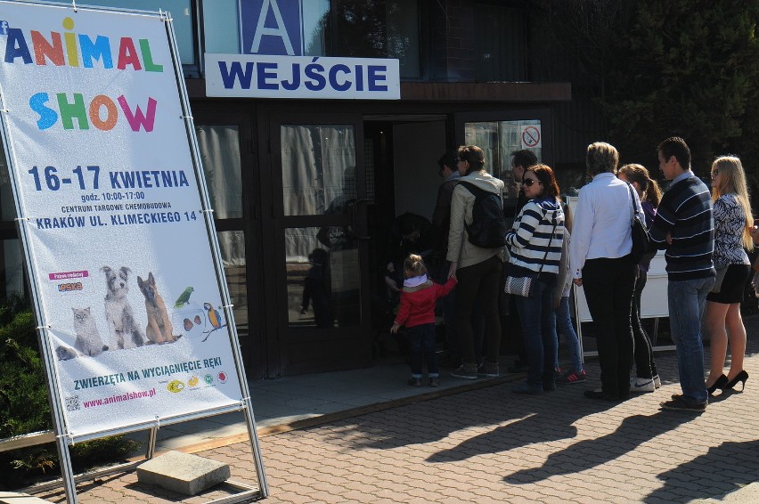Kraków. Animal Show przyciągnęło maluchy z rodzicami [ZDJĘCIA]