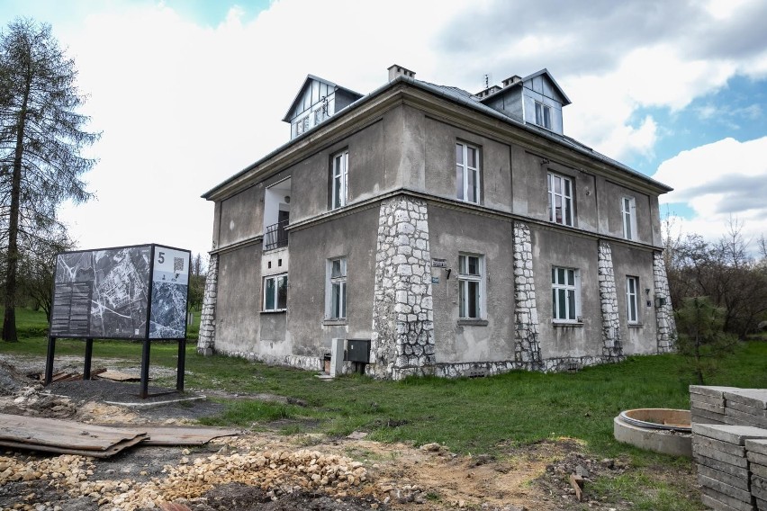 Kraków. Wytną 275 drzew pod inwestycję Muzeum KL Plaszow. I posadzą nowe