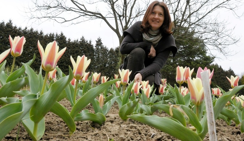 Ogród Botaniczny w Lublinie