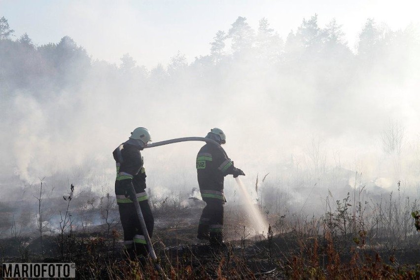 Pożar przy obwodnicy Opola.