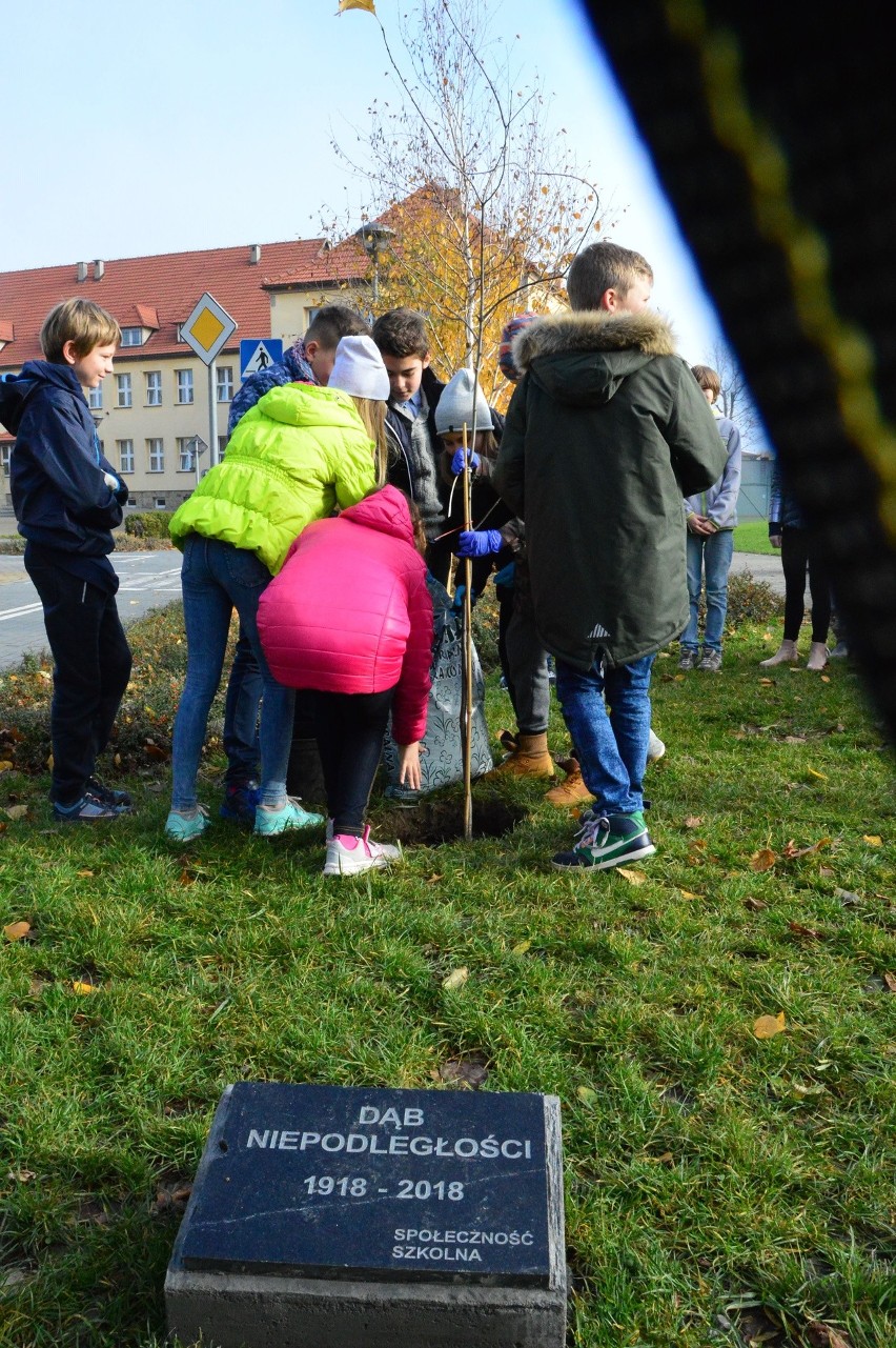 Myślenice. Uczniowie "dwójki" zasadzili dąb niepodległości