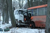 Zderzenie autobusu z ciężarówką. 10 osób rannych (zdjęcia, wideo)
