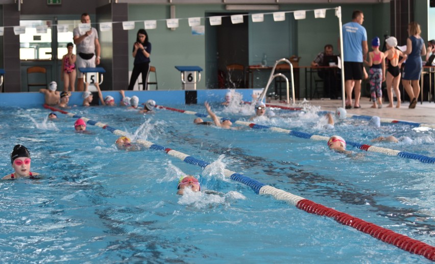 Pływackie zmagania w Powiatowym Centrum Sportowym w Staszowie. Rywalizowało prawie 300 uczestników