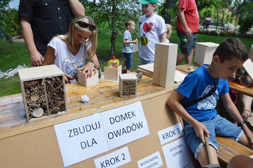 Dzień Pszczoły w Ogrodzie Botanicznym