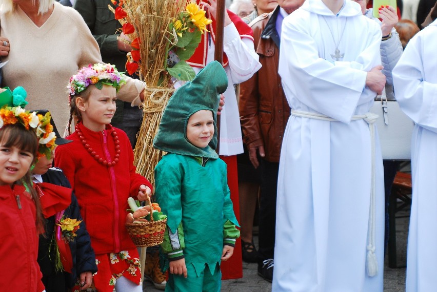 Bytom: Dożynki w Stolarzowicach