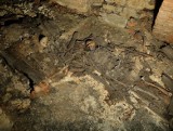 Wykopaliska archeologiczne u Bernardynów w Rzeszowie. Co udało się znaleźć? Rozmowa z Pawłem Kocańdą z Uniwersytetu Rzeszowskiego