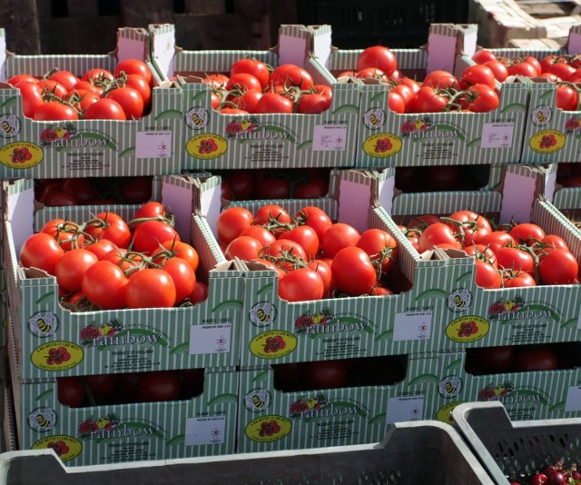 Pomidory szklarniowe są po 3-3,50 zł za kg. Fot. Dariusz Danek