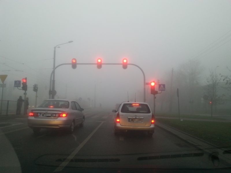 Pogoda na dziś. Uwaga! Gęsta mgła!