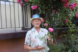 Kielczanin Henryk Maciejewski przed swoim blokiem posadził piękne róże. Chce sprawić radość sąsiadom i przechodniom. Zdjęcia i film