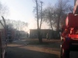 Pożar fermy drobiu w Nowej Soli. Z ogniem walczyło pięć zastępów straży pożarnej