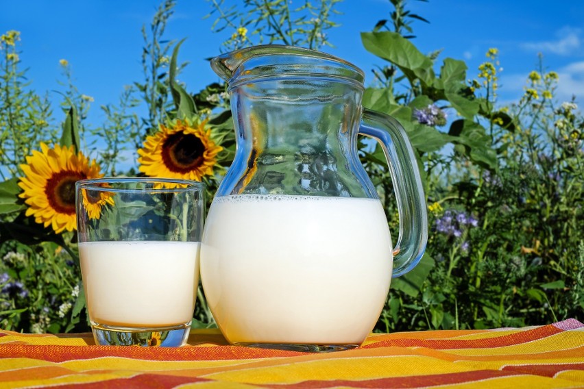 Dobrym źródłem białka jest m.in. mleko i produkty mleczne