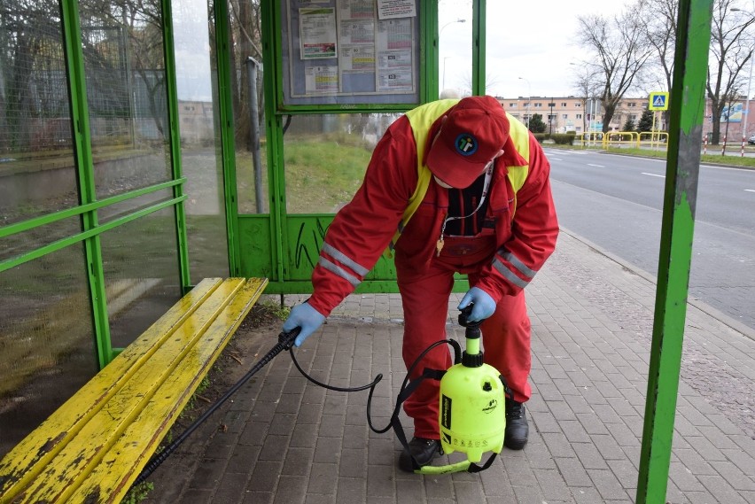 Dezynfekcja przystanku autobusowego MZK przez pracowników...