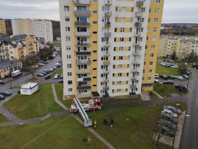 Strażacy wezwani na gorzowskie Piaski musieli użyć podnośnika.