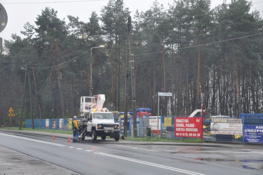 Częstochowa: po wiosennym ataku zimy uzupełnienie...