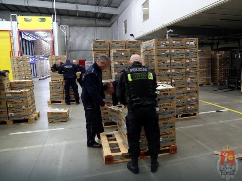 Kokaina w bananach? Przemyt udaremniony w Warszawie to nic, w porównaniu z 400 kg na Dolnym Śląsku