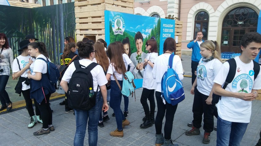 Piknik Po Stronie Natury w Żywcu. Atrakcje na rynku, a w parku sadzenie drzew ZDJĘCIA