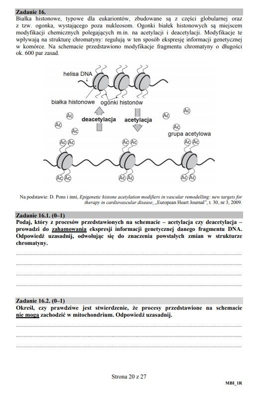 Matura 2018: BIOLOGIA arkusze CKE ONLINE + rozwiązania...