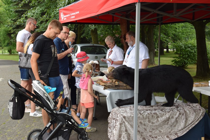 Pamiątki przywożone przez Polaków z egzotycznych wakacji