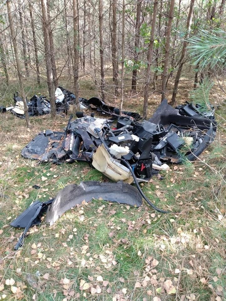 Śmieci w lesie koło Lipnik. Straż Leśna ustaliła śmieciarza, został ukarany