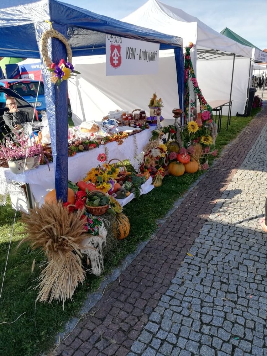 Andryjanki. Tu w kole gospodyń wiejskich działają nie tylko kobiety. Jest aż trzech panów