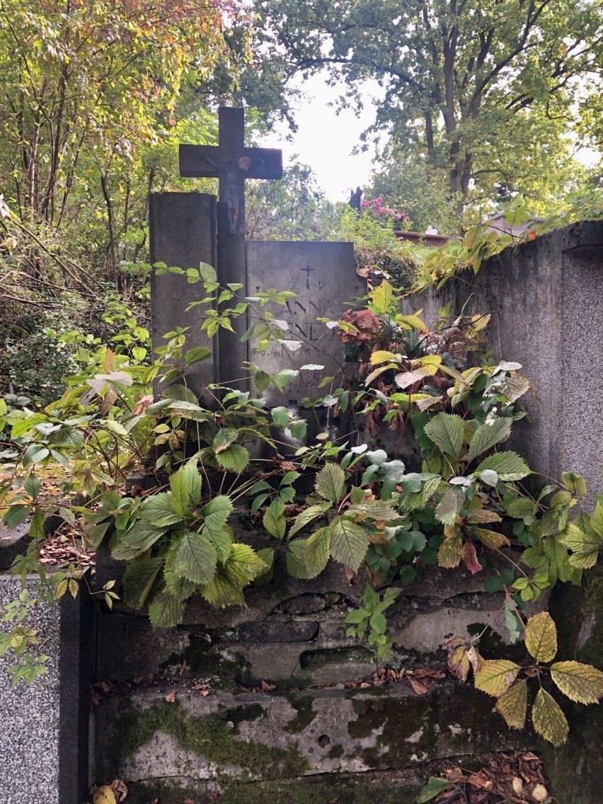 Cmentarz "Na Zjawieniu" w Radomyślu nad Sanem
