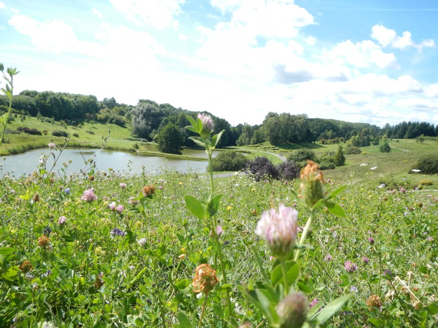 10. Myślęcinek - Leśny Park Kultury i Wypoczynku w...