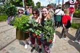 Tłumy na Festiwalu Roślin we Wrocławiu [ZDJĘCIA]