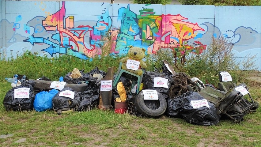 Ponad 600 kg śmieci w Szczecińskiej Wenecji. Czwarty dyżur Eko Patrolu 