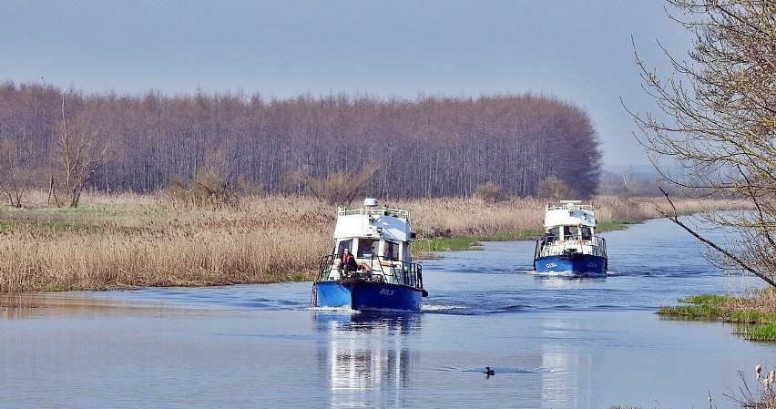 By dotrzeć do portu rzecznego w Nakle "Bielik" i "Czajka"...