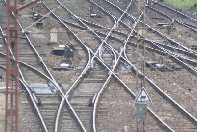 Rewitalizacja będzie polegała na wymianie ponad 31 km torów, naprawie 25 przejazdów kolejowych, wymianie 28 rozjazdów i remoncie 24 obiektów inżynieryjnych takich jak wiadukty, mosty czy przepusty