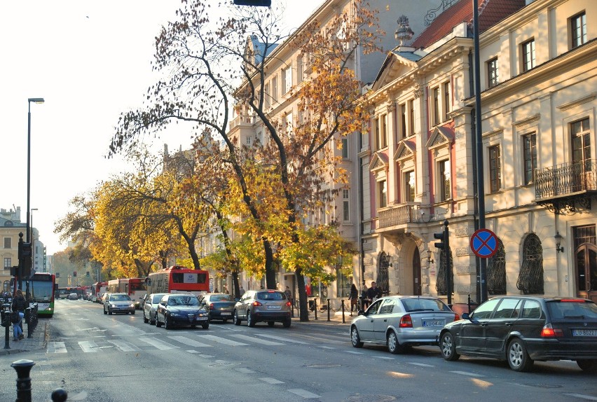 Słoneczna jesień w Lublinie zachęca do wyjścia z domu [ZDJĘCIA]