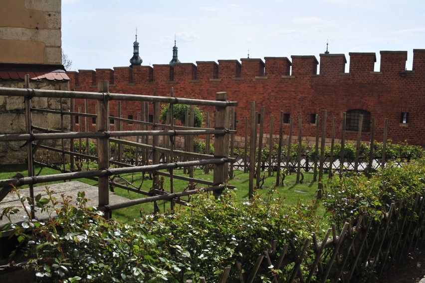 Kraków. Wawel znów zaprasza na swoje sezonowe atrakcje [ZDJĘCIA]